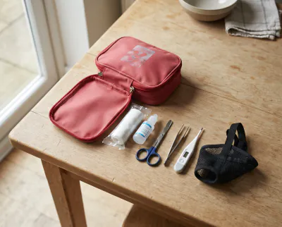 Featured image for First aid kit preparation for dogs