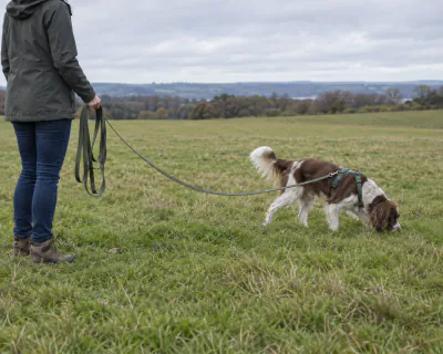 Featured image for Using a long line safely