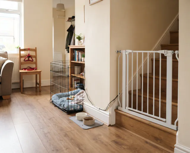 Featured image for Preparing your home for a new puppy