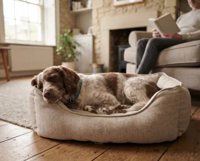 Dog lying settled on a mat beside a kitchen table