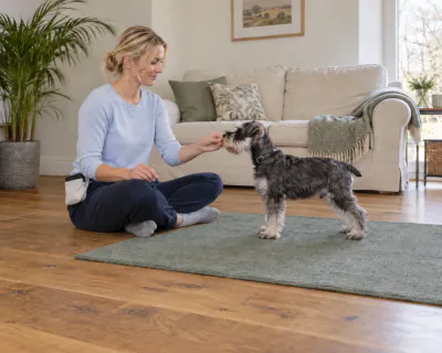 The woman's right hand back in her lap while her left hand gives the puppy a piece of food.
