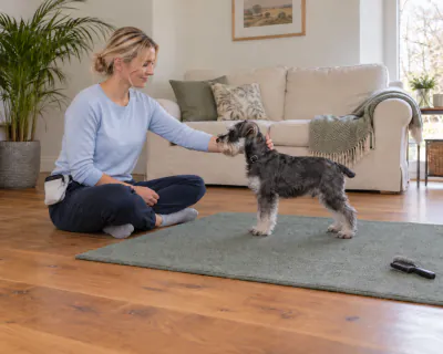 The woman's index and middle fingers slid under the back of the puppy's black collar while the puppy stands calmly on the mat.