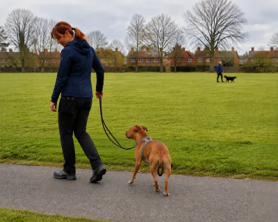 The woman turning back along the path with her arm relaxed as the Staffordshire Bull Terrier swings round from the end of the lead to follow her.