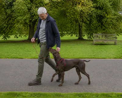 The man walking away along the path with the Pointer at his left knee, feeding it low at his trouser seam as they walk.